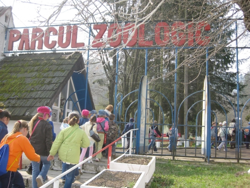 lucrarile-la-gradina-zoologica-continua