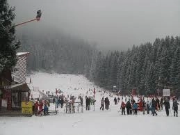 medici-pentru-fote-2013