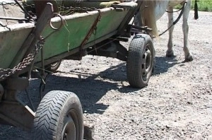 o-caruta-ia-rupt-mana