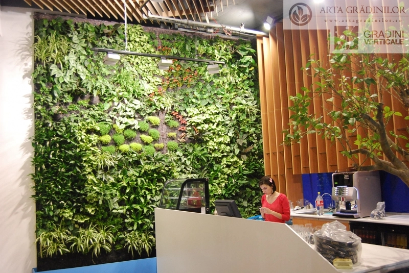 peretele-verde-insula-citadina