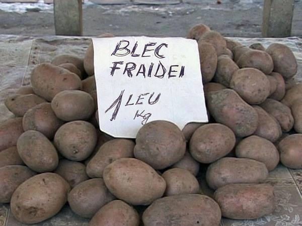 poza-zilei-a-spart-piata-cea-mai-tare-reducere-de-blec-fraidei