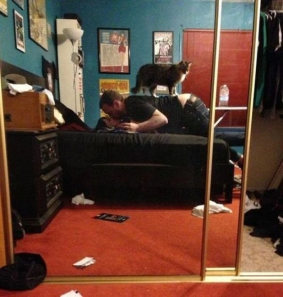 poza-zilei-dragostea-se-face-minim-in-3-