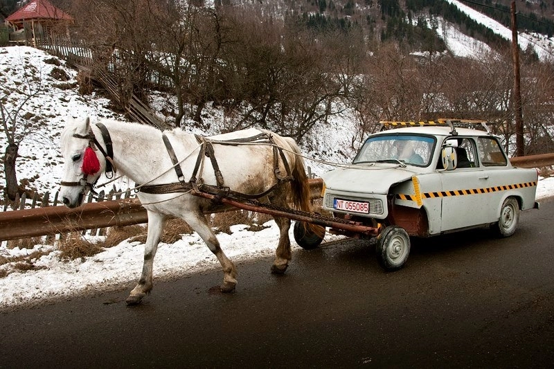 poza-zilei-un-cal-putere