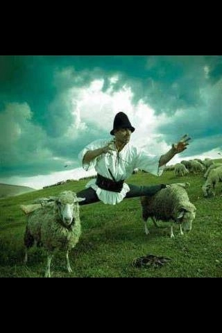 poza-zilei-van-damme-cioban