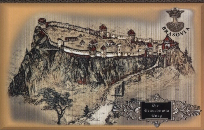 proiect-de-promovare-cetatii-de-pe-tampa