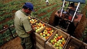 proiecte-de-17-milioane-de-euro-depuse-la-ojpdrp-brasov