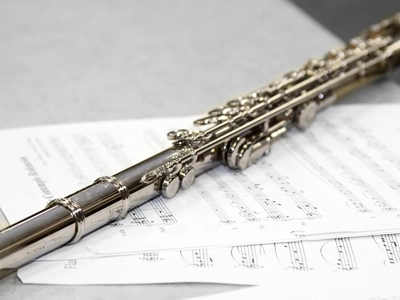 recital-de-flaut-la-casa-galbena