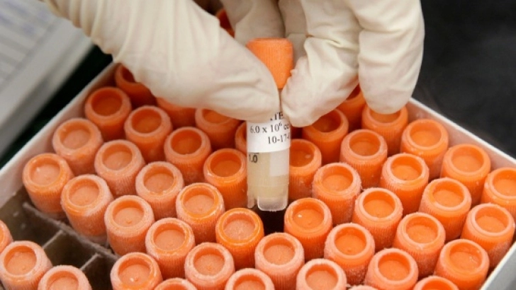 registrul-donatorilor-de-celule-stem-si-la-brasov