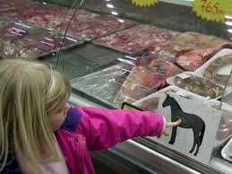 romania-se-afla-pe-locul-5-in-europa-la-exportatul-de-carne-de-cal-