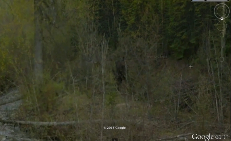 sa-vezi-si-sa-nu-crezi-bigfoot-pe-google-earth-video