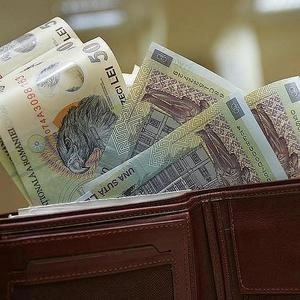 salariul-minim-pe-economie-va-creste-in-2014-la-1000-de-lei