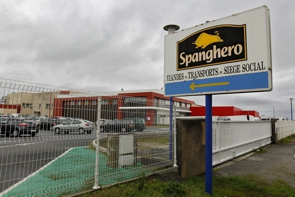 scandalul-carnii-de-cal-firma-spanghero-data-de-gol-de-facturi