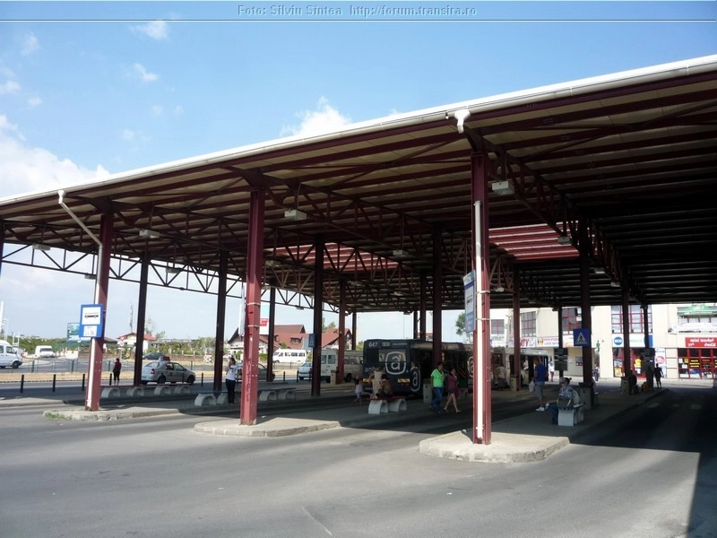 se-cauta-constructor