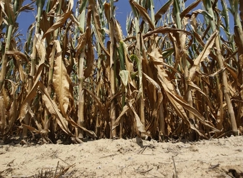 se-introduce-o-noua-taxa-