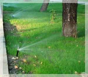 sistem-de-irigare-modern-la-fagaras