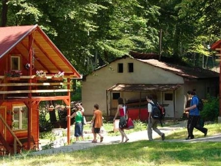 doar-cu-aviz-de-la-minister