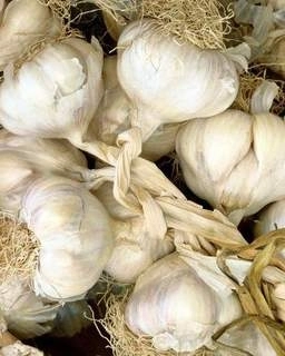 traditii-brasovene-santandrei-in-traditiile-romanilor