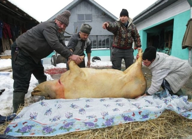 traditii-si-obiceiuri-de-ignat