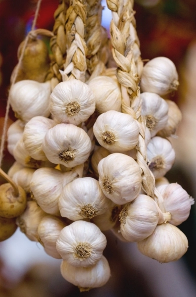 traditii-usturoiul-de-la-leac-impotriva-ceasului-rau-pana-la-tratament-pentru-calmarea-migrenelor