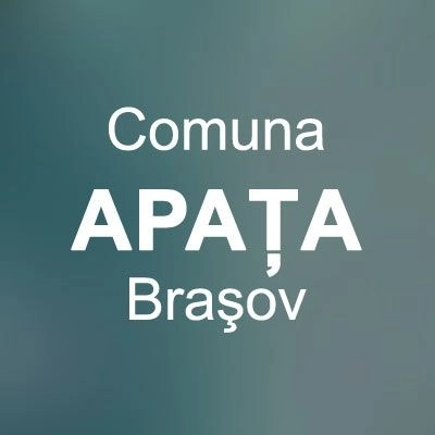 udmr-vrea-alegeri-la-apata
