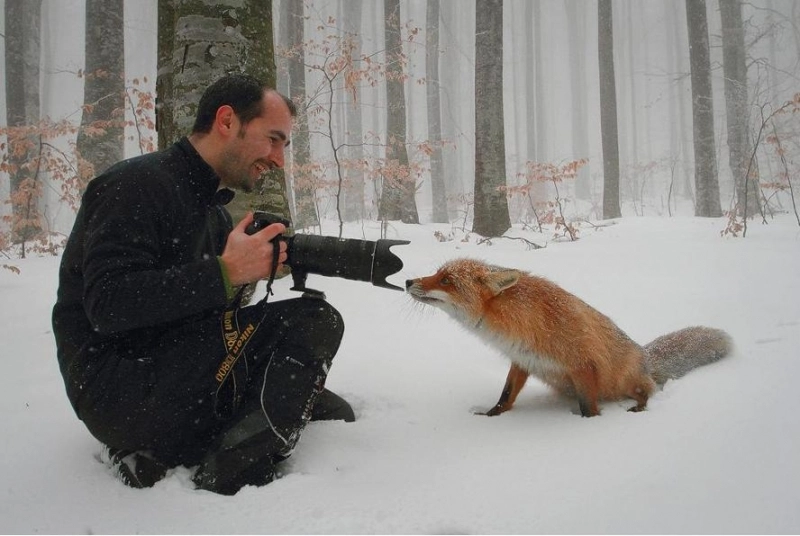 un-fotograf-brasovean-imblanzitorul-de-vulpi
