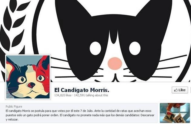 un-motan-candideaza-la-primaria-unui-oras-din-mexic