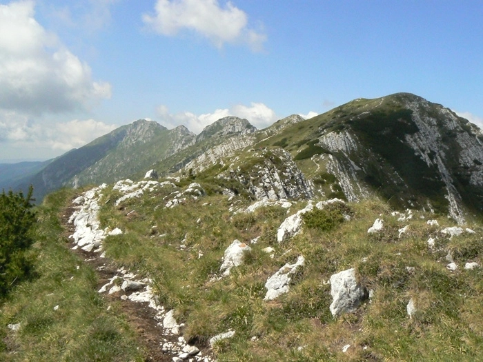 un-turist-a-cazut-intro-rapa-in-masivul-piatra-craiului
