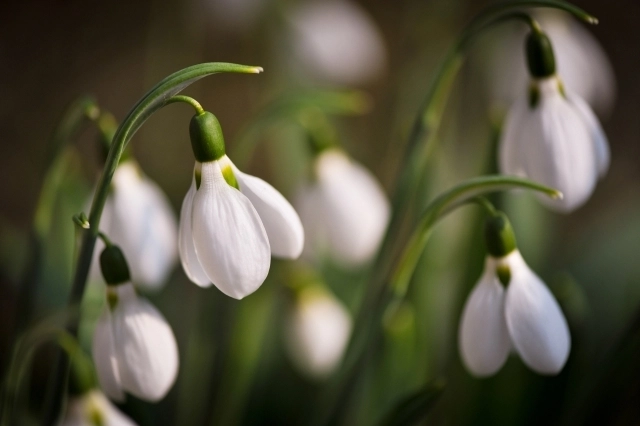 urmeaza-zile-de-vara-meteorologii-prognozeaza-temperaturi-de-20-de-grade-pentru-joi