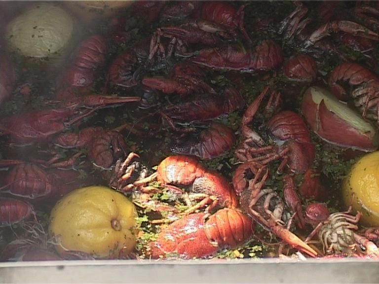 vezi-cum-arata-cea-mai-mare-fiertura-de-raci-din-europa-galerie-foto