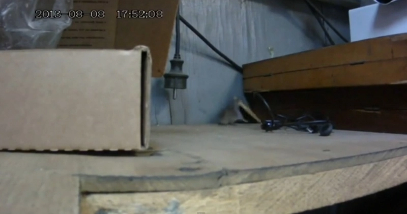 video-funny-de-cat-timp-are-nevoie-un-soarece-sa-fure-un-biscuit-video