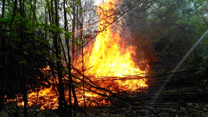 video-incendiul-de-vegetatie-dintre-vladeni-si-dumbravita-