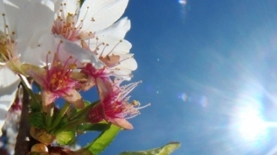 vreme-frumoasa-de-1-mai-si-de-paste