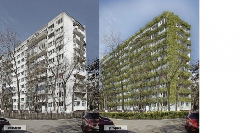 blocuri-izolate-cu-lana-de-oaie