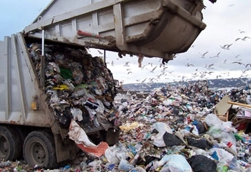 caracatita-banii-cosa-nostra-si-groapa-de-gunoi-de-la-glina