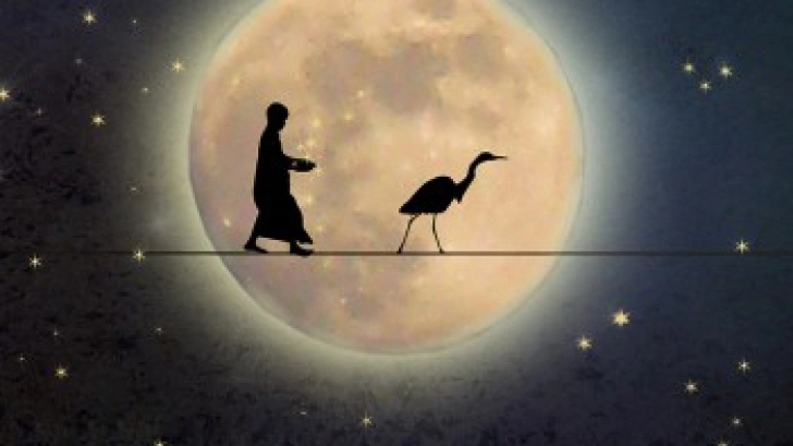 ce-inseamna-cand-visezi-ca-zbori