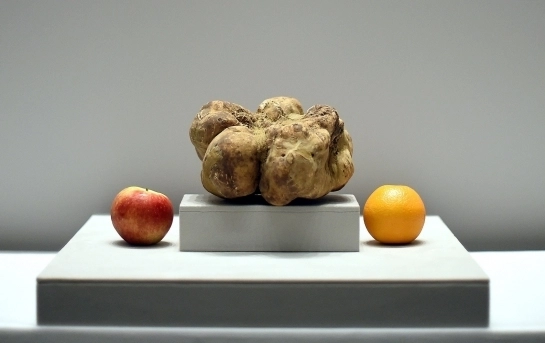 cea-mai-mare-trufa-din-lume-vanduta-cu-peste-61000-de-dolari