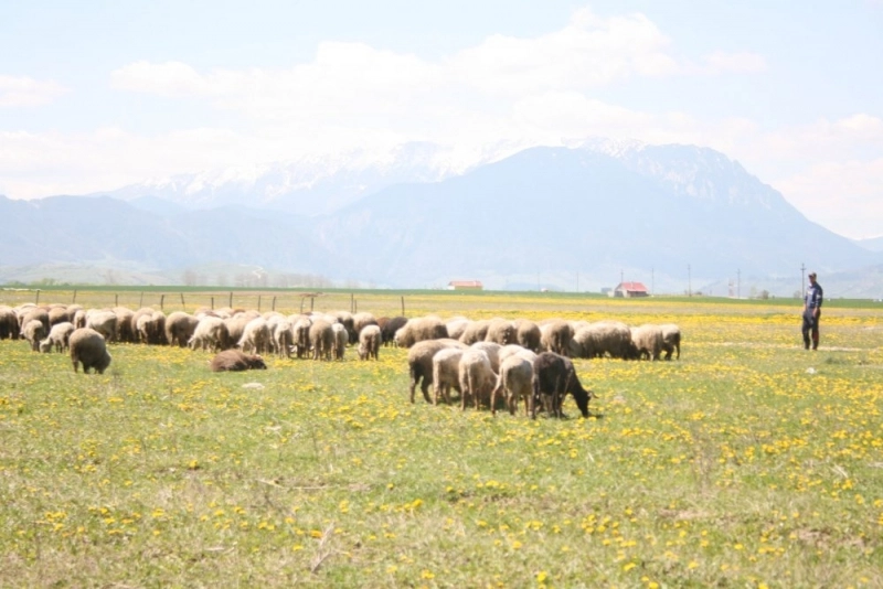 conferinta-regionala-de-informare-in-cadrul-campaniei-pndr-2020-satul-romanesc-are-viitor