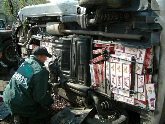 contrabandistii-au-abandonat-o-duba-intesata-cu-50000-de-pachete-de-tigari