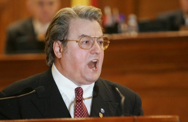 cornelia-vadim-tudor-nu-poate-candida-la-europarlamentare