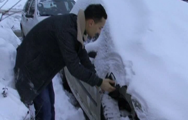 craiova-masina-mancata-de-caini