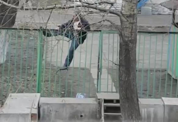 cum-sare-gardul-un-betiv-video