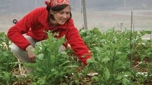 cursuri-de-calificare-in-domeniul-agricol