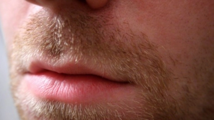 de-ce-le-plac-femeilor-barbatii-cu-barba