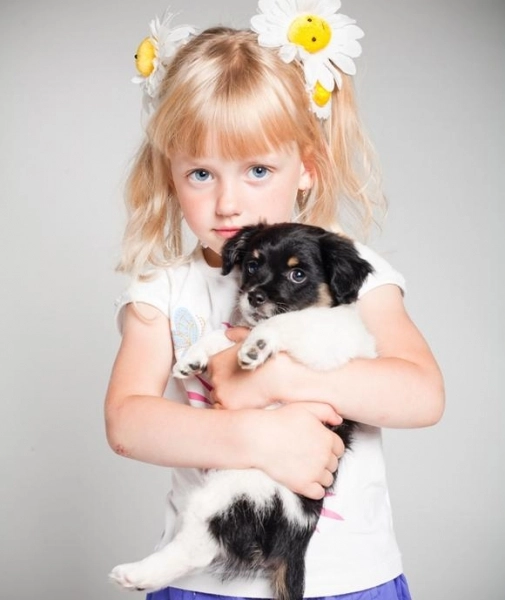 de-ce-nu-e-bine-sa-cumperi-un-catel-mai-mic-de-7-saptamani