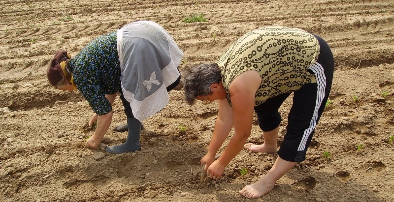 fermierii-brasoveni-chemati-la-discutii