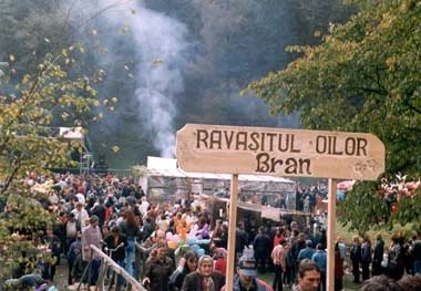 festivalul-branzei-si-al-pastramei-ravasitul-oilor-la-bran