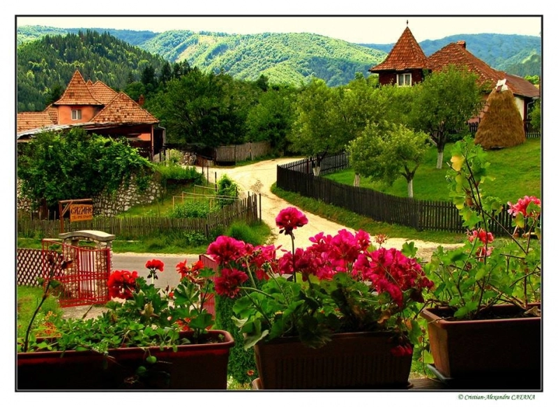 festivalul-muscatelor-in-weekend-la-bran-(1)