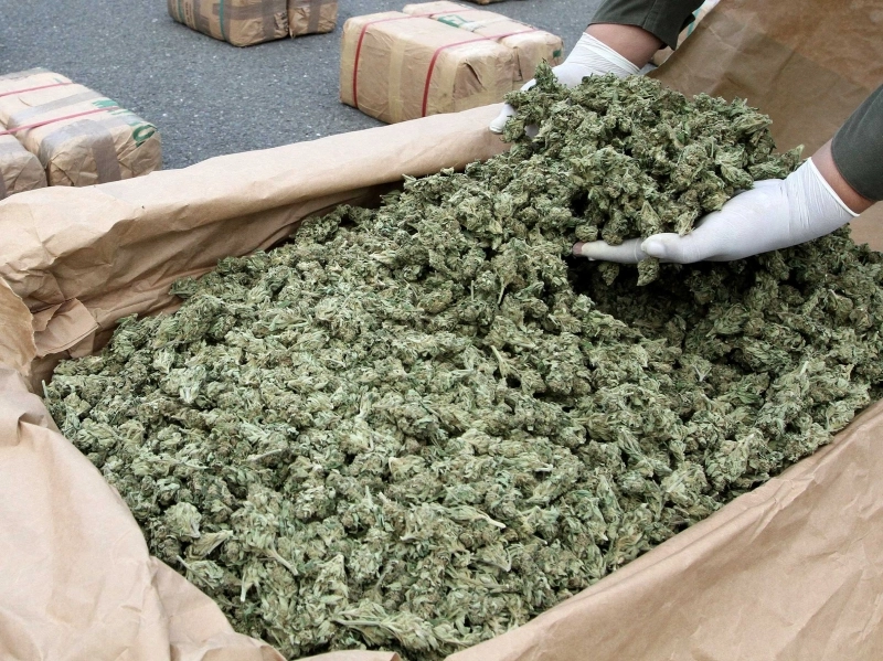 folosirea-marijuanei-in-scopuri-medicale-autorizata-in-new-york
