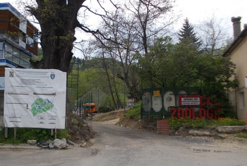 gradina-zoologica-din-noua-se-va-redeschide-abia-dupa-jumatatea-lui-august