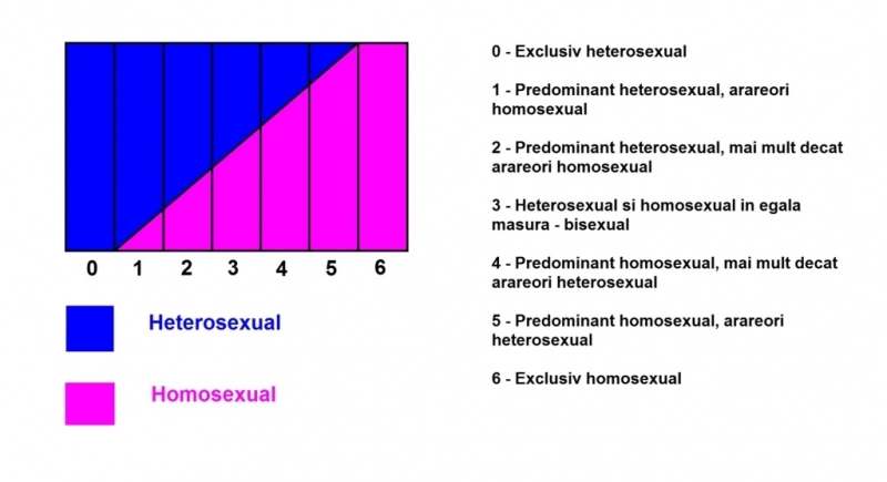 heterosexual-sau-homosexual-un-studiu-din-1948-arata-ca-adevarul-este-la-mijloc